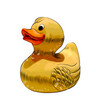 Yellow duck toy. Inflatable rubber duck from a splash of watercolor, colored drawing, realistic. Vector illustration of paints