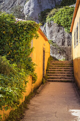 Wall Mural - old stone stairs that are already overgrown with grass