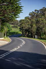 Wall Mural - double lane in a mountain road between the forest. inspiration for movement and travel