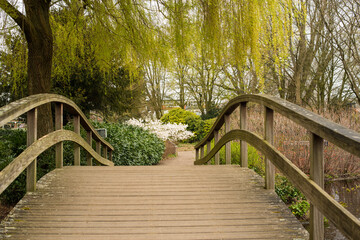 Wall Mural - wooden bridge in the park 