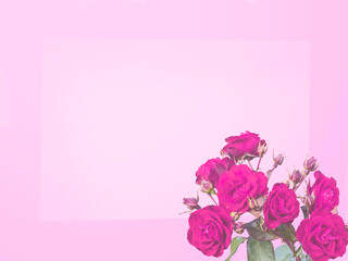 Wall Mural - Bunch of pink roses on a pink background with copy space, card concept