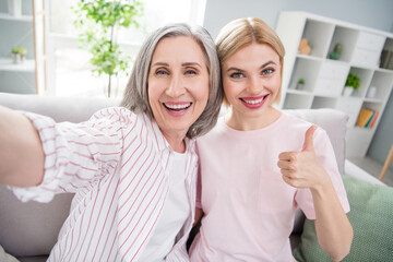 Sticker - Photo of grey haired blonde happy women family sit couch make selfie show thumb up indoors inside house