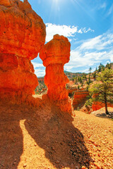 Wall Mural - Sunny day. Scenic spots of America.