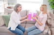 © deagreez - Profile side photo of happy positive mom and young lady give present good mood holiday indoors inside house