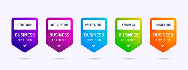 Poster - set of business company training badge certification to determine based on colorful criteria. vector