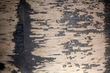 Fototapeta Boho - Peeling old grey wall plywood background 