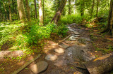 Fototapeta  - Fragment of Cape trail in Olympics park, Washington, USA