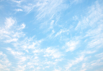 Wall Mural - the sky is large, bright, beautiful and has white clouds.