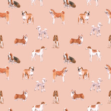 Beautiful Seamless Pattern With Cute Watercolor Hand Drawn Dog Breeds Cocker Spaniel Greyhound Basset Hound Poodle Bulldog And Welsh Corgi Pembroke . Stock Illustration.
