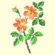 vector art cross stitch orange flower