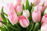 Fototapeta Tulipany - Big bouquet of beautiful tulips, closeup view