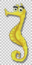 Yellow Seahorse Cartoon Character Isolated On Transparent Background