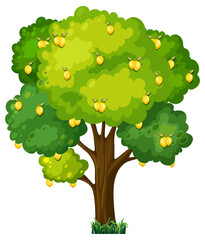 Sticker - Lemon tree in cartoon style isolated on white background