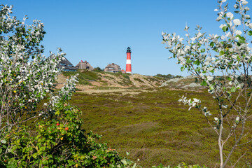 Wall Mural - lighthouse hörnum (leuchtturm hörnum) on the island of sylt, schleswig-holstein, germany