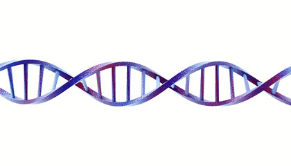 Poster - 3D illustration DNA structure isolated background.