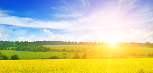 yellow rapeseed fields and colorful sunset .