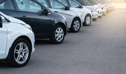 Wall Mural - Cars in a row. Used car sales	
