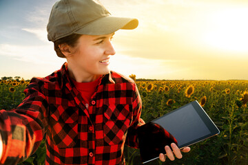 Wall Mural - Farmer with a tablet in a field of sunflowers.