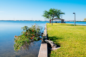 Wall Mural - The water flow of Tampa Bay beach	
