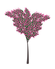 Tree in blossom. Bougainvillea tree with pink flowers. Typical Mediterranean plant. Isolated flat vector illustration.