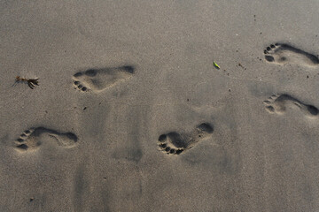 Wall Mural - Closeup top view of a trail of footprints on a sandy surface