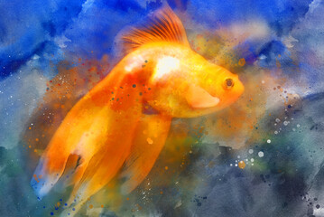 A goldfish floating in the blue water