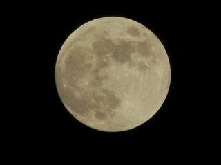 Wall Mural - Closeup shot of the beautiful full moon on the night sky