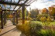 Backlit image of colorful autumn garden with wood trellis over a brick walking path