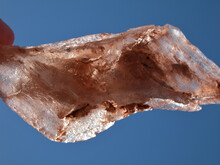 Selenite Crystal Or Satin Spar, Showing Part Of The Fishtail Habit.
Brown Translucent Crystal With Backlight.