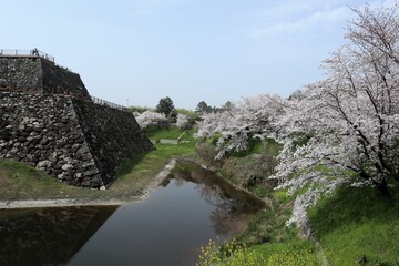 Poster - 奈良県　大和郡山城