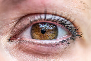 Close up macro view of a brown woman eye pupil retina with makeup