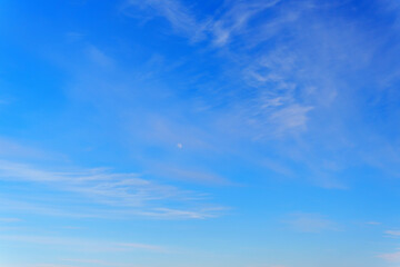 Wall Mural - Air clouds in the blue sky.Blue backdrop in the air. Abstract style for text.