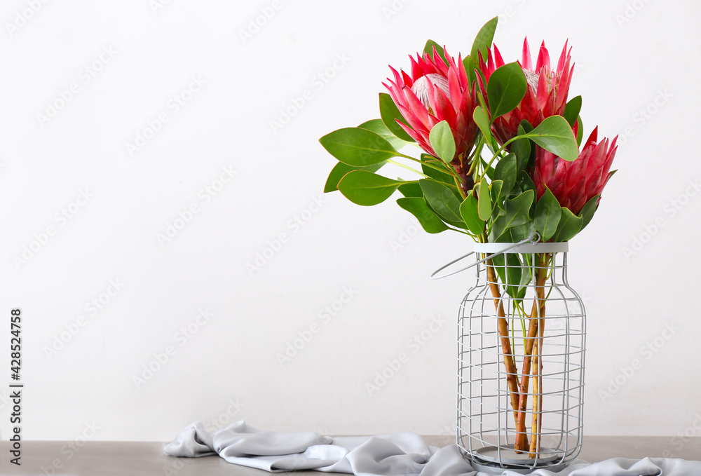 Vase with beautiful protea flowers on light background