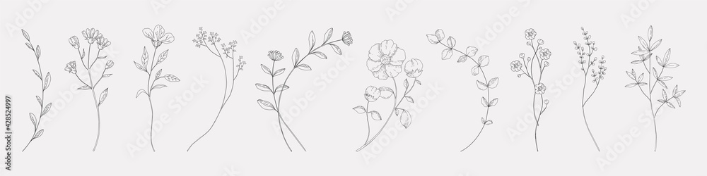 Hand drawn herbs. Minimal floral monograms. Blooming plants and branches with leaves. Row of contour flowers. Black and white decorative elements template. Vector foliage sketch set - obrazy, fototapety, plakaty 