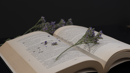 Canvas Print - Closeup shot of an open book with dry flowers in the black background