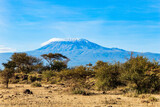 Fototapeta Sawanna - The snow-capped Mount Kilimanjaro