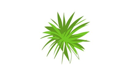 Wall Mural - Papyrus frond icon animation