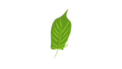 Poster - Jungle leaf icon animation