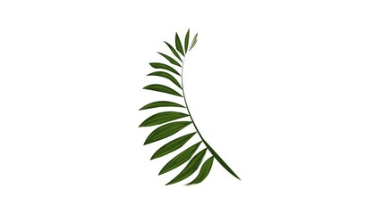 Poster - Fern frond icon animation