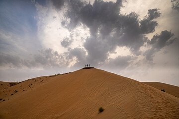 beautiful landscape of thar desert in rajasthan, india.