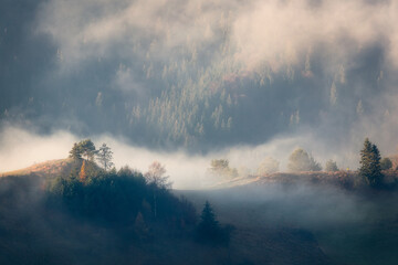 Canvas Print - fog in the mountains