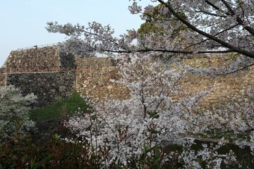 Sticker - 奈良県　大和郡山城