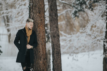 Poster - Handsome young man in a black winter outfit with a brown scarf leaning against a forest tree trunk