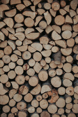 Poster - Texture of piled wooden logs reserved for win