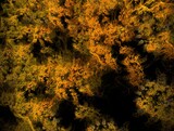 Fototapeta Morze - Imaginatory fractal background generated Image
