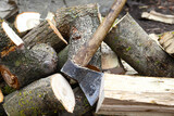Fototapeta Na sufit - Firewood and logs in one pile, with an ax hammered into the log. Chopping wood as a solid fuel. Round oak beams. Concept: harvesting firewood for the winter.