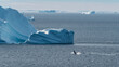 Greenland Iceberg with Jumping Whale