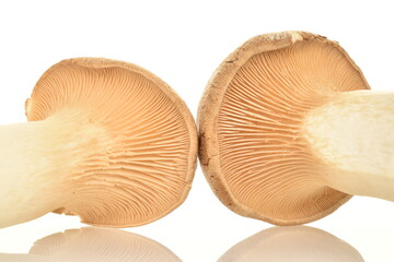 Two organic Pleurotus eryngii mushrooms, close-up, isolated on white.