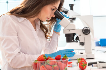 Wall Mural - Quality inspection of  food  Checking the content of nitrates and herbicides in strawberries