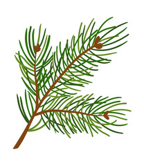 cute little coniferous tree branch on white background